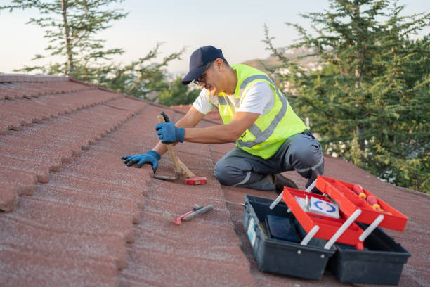 Best Storm Damage Roof Repair  in Dalhart, TX